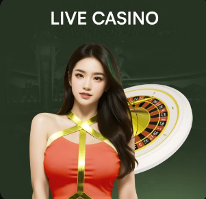 克卢日大学主席回应引进斯坦丘与布尔克的传闻：两人薪资太高